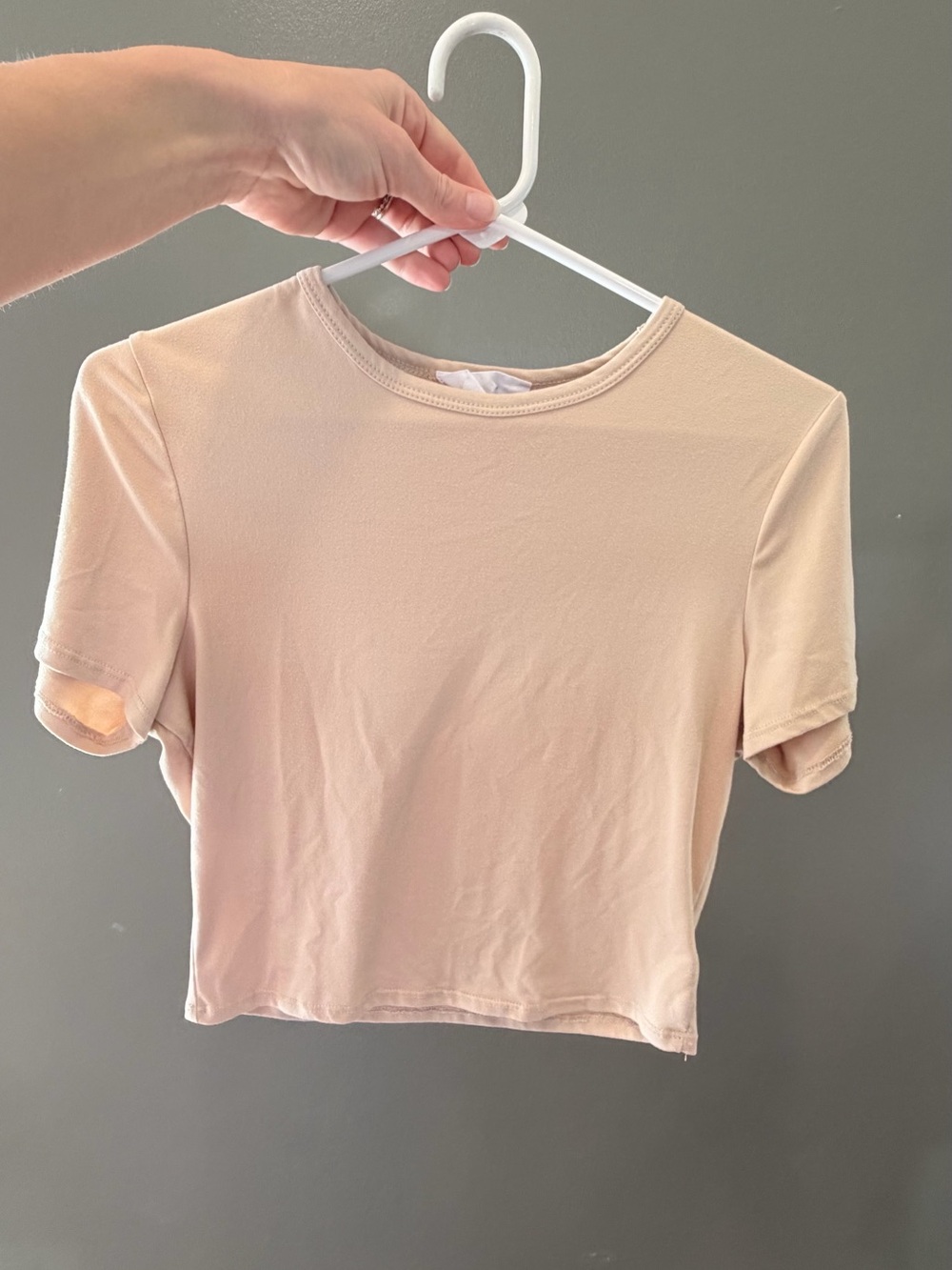 Sadie & Sage Nude Pink Cropped Crewneck Tee